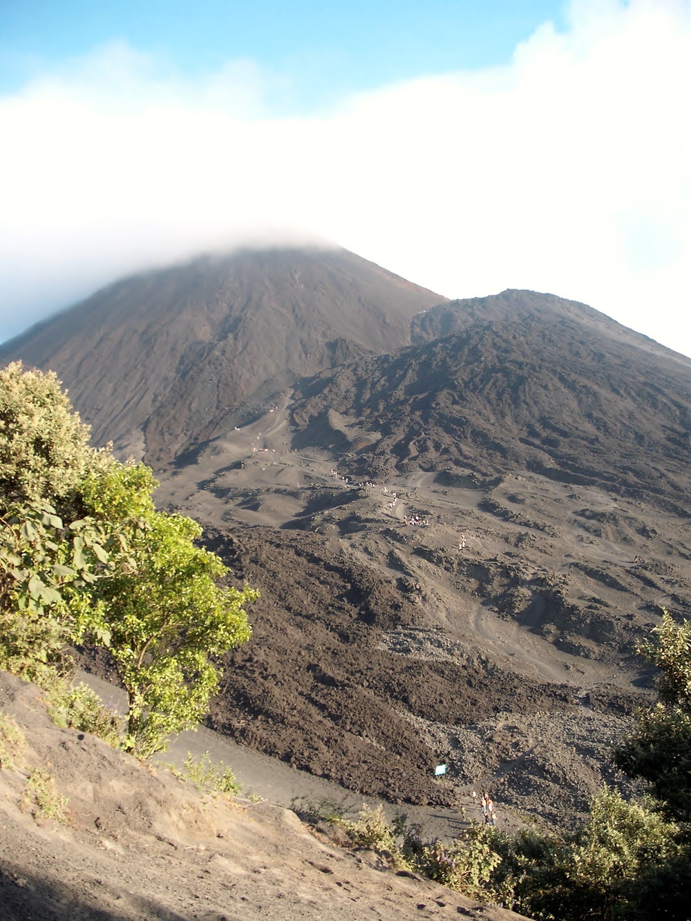 世界一周・グアテマラ・パカヤ火山観光_3.jpg